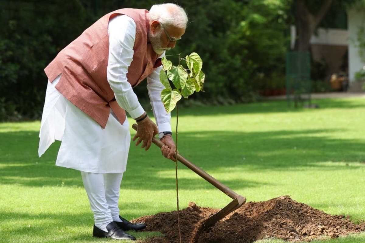 Prime Minister plants sindoor sapling at his residence in New Delhi on World Environment Day